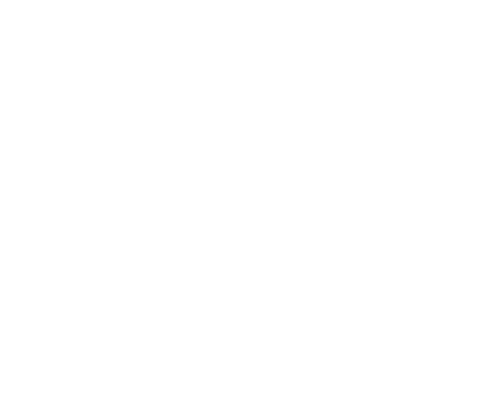 AIR FREIGHT